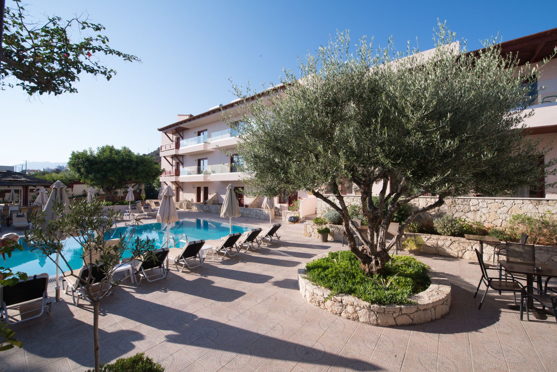 Different view of the hotel pool Cactus village